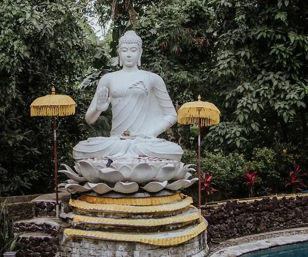 Surf & Yoga Bali ベッド・アンド・ブレックファスト Dalung (Bali)